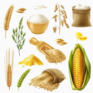 Cereales, granos y semillas
